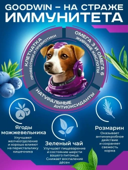 GOODWIN для взрослых собак мелких и миниатюрных пород с ягненком 1,5 кг фото, цены, купить