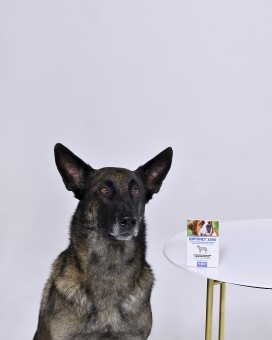 Диронет 1000 для собак крупных пород 6 таблеток фото, цены, купить